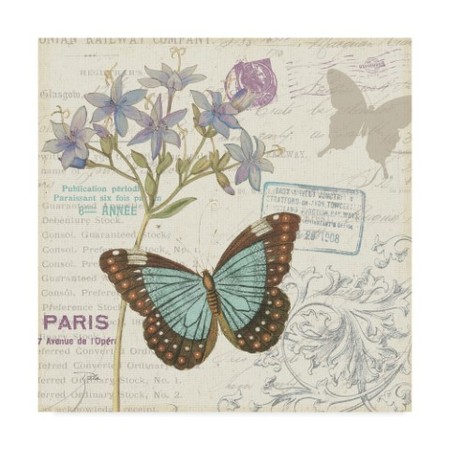 Pela Studio 'Papillon Tales Ii' Canvas Art,14x14